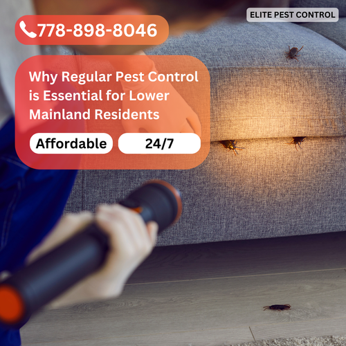 Why Regular Pest Control is Essential for Lower Mainland Residents