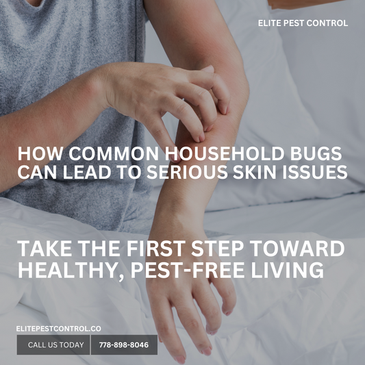 How Common Household Bugs Can Lead to Serious Skin Issues