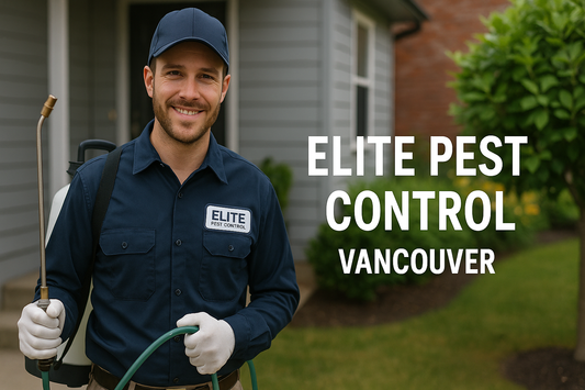 Elite Pest Control in Vancouver – Keeping Your Home and Business Pest-Free