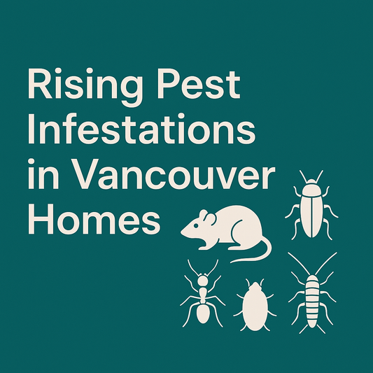 Rising Pest Threats in Vancouver Homes - Pest control Vancouver
