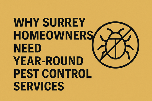 Why Surrey Homeowners Need Year Round Pest Control Services