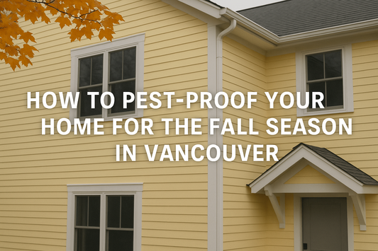 How to Pest Proof Your Home for the Fall Season in Vancouver