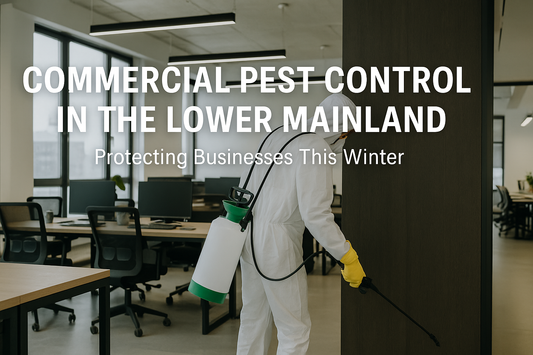 Commercial Pest Control in the Lower Mainland: Protecting Businesses This Winter
