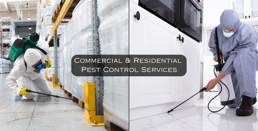 Best Pest Control in Vancouver – Elite Pest Control