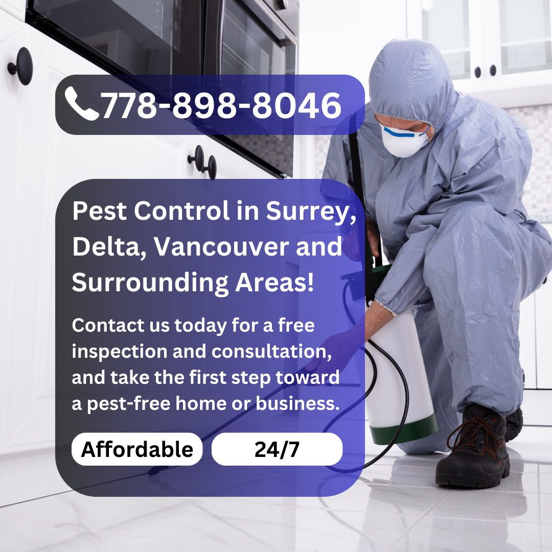 Your Ultimate Guide to Pest Control in Surrey, Delta, Vancouver and Beyond
