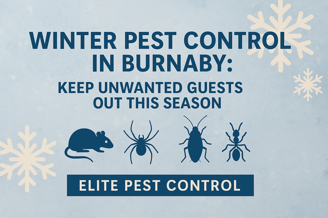 Winter Pest Control in Burnaby: Keep Unwanted Guests Out This Season