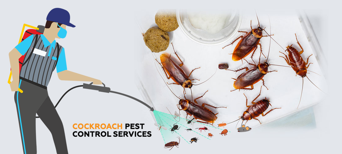 Cockroach Control: How Elite Pest Control Can Help You Eliminate Cockroaches for Good