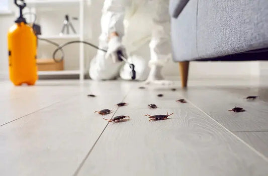 Evict Unwanted Guests: Your Guide to Finding the Best Pest Control Service in Surrey - Elite Pest Control