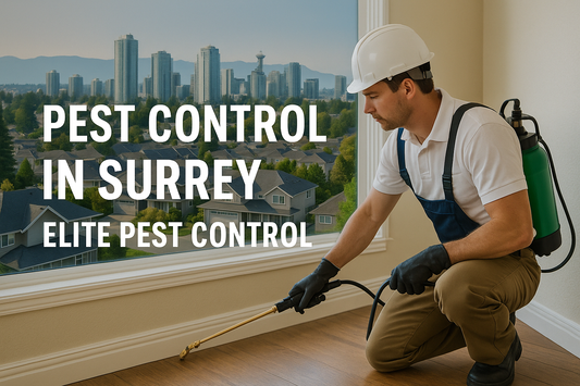 Pest control technician treating a Surrey home with skyline view in the background.