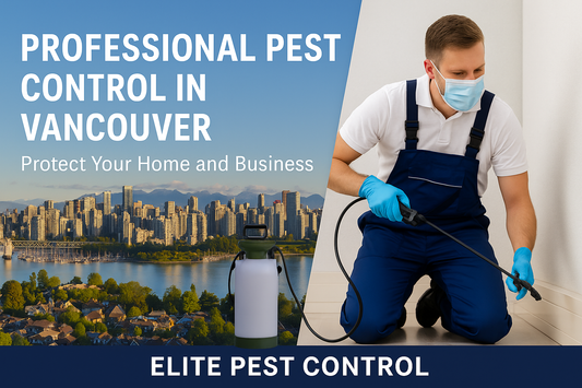 Pest control technician working in a Vancouver home with city skyline in the background.