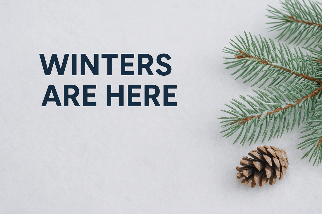 Winter Is Here And Vancouver Homes Are Seeing More Pests Indoors