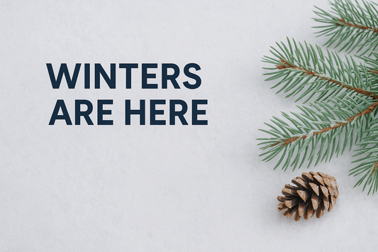 Winter Is Here And Vancouver Homes Are Seeing More Pests Indoors